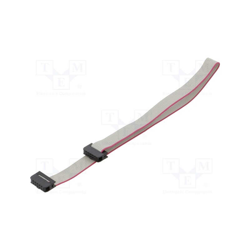 2 pcs x CONNFLY - DS1052-01-102B2NA203001 - Ribbon cable with IDC connectors, Cable ph: 1mm, 0.3m, 10x28AWG