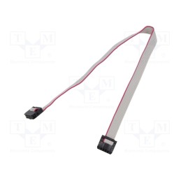 2 pcs x CONNFLY - DS1052-01-082B2MA203001 - Ribbon cable with IDC connectors, Cable ph: 1mm, 0.3m, 8x28AWG