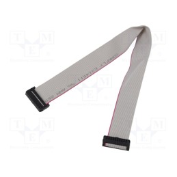 2 pcs x CONNFLY - DS1052-01-202B2MA203001 - Ribbon cable with IDC connectors, Cable ph: 1mm, 0.3m, 20x28AWG