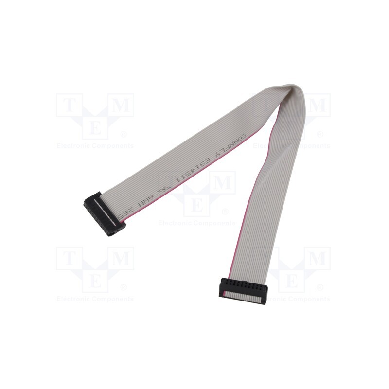 2 pcs x CONNFLY - DS1052-01-202B2MA203001 - Ribbon cable with IDC connectors, Cable ph: 1mm, 0.3m, 20x28AWG