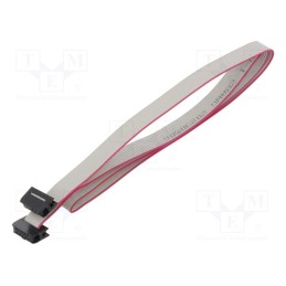 2 pcs x CONNFLY - DS1052-01-102B2NA206001 - Ribbon cable with IDC connectors, Cable ph: 1mm, 0.6m, 10x28AWG