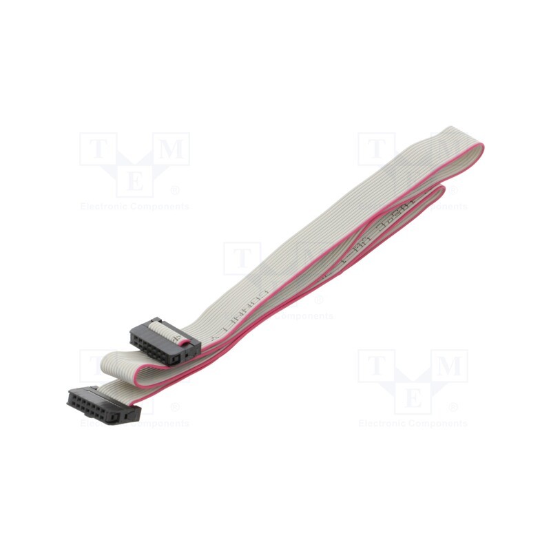 2 pcs x CONNFLY - DS1052-01-142B2MA206001 - Ribbon cable with IDC connectors, Cable ph: 1mm, 0.6m, 14x28AWG