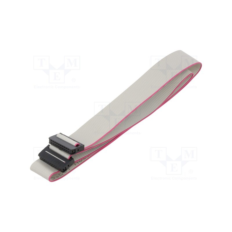 2 pcs x CONNFLY - DS1052-01-202B2MA206001 - Ribbon cable with IDC connectors, Cable ph: 1mm, 0.6m, 20x28AWG