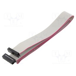 2 pcs x CONNFLY - DS1052-01-202B2NA206001 - Ribbon cable with IDC connectors, Cable ph: 1mm, 0.6m, 20x28AWG