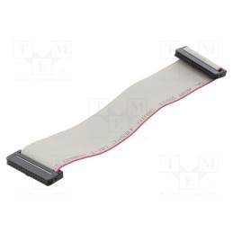 2 pcs x CONNFLY - DS1052-01-262B2NA203001 - Ribbon cable with IDC connectors, Cable ph: 1mm, 0.3m, 26x28AWG