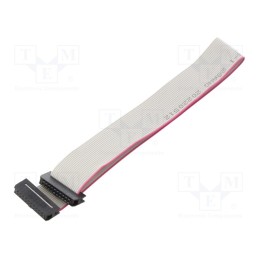 2 pcs x CONNFLY - DS1052-01-202B2NA203001 - Ribbon cable with IDC connectors, Cable ph: 1mm, 0.3m, 20x28AWG