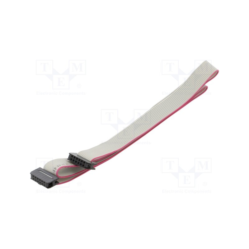 2 pcs x CONNFLY - DS1052-01-122B2NA206001 - Ribbon cable with IDC connectors, Cable ph: 1mm, 0.6m, 12x28AWG