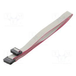 2 pcs x CONNFLY - DS1052-01-122B2MA206001 - Ribbon cable with IDC connectors, Cable ph: 1mm, 0.6m, 12x28AWG