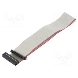 2 pcs x CONNFLY - DS1052-01-302B2MA201501 - Ribbon cable with IDC connectors, Cable ph: 1mm, 0.15m, 30x28AWG