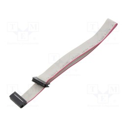 2 pcs x CONNFLY - DS1052-01-142B2NA203001 - Ribbon cable with IDC connectors, Cable ph: 1mm, 0.3m, 14x28AWG