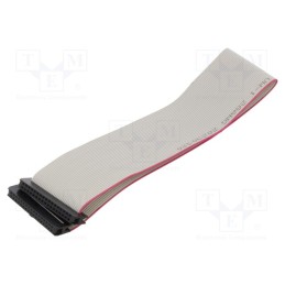 2 pcs x CONNFLY - DS1052-01-342B2NA203001 - Ribbon cable with IDC connectors, Cable ph: 1mm, 0.3m, 34x28AWG
