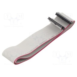 2 pcs x CONNFLY - DS1052-01-302B2MA206001 - Ribbon cable with IDC connectors, Cable ph: 1mm, 0.6m, 30x28AWG