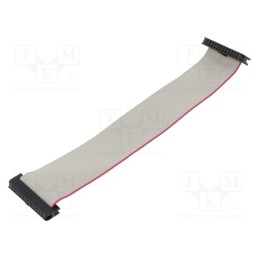 2 pcs x CONNFLY - DS1052-01-242B2NA201501 - Ribbon cable with IDC connectors, Cable ph: 1mm, 0.15m, 24x28AWG
