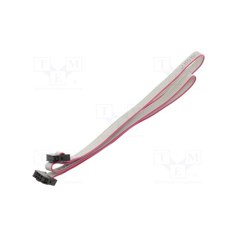 2 pcs x CONNFLY - DS1052-01-062B2MA206001 - Ribbon cable with IDC connectors, Cable ph: 1mm, 0.6m, 6x28AWG