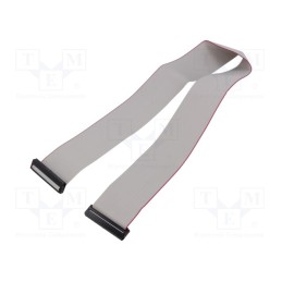 2 pcs x CONNFLY - DS1052-01-402B2MA206001 - Ribbon cable with IDC connectors, Cable ph: 1mm, 0.6m, 40x28AWG