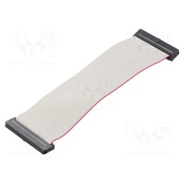 2 pcs x CONNFLY - DS1052-01-402B2MA201501 - Ribbon cable with IDC connectors, Cable ph: 1mm, 0.15m, 40x28AWG