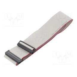 2 pcs x CONNFLY - DS1052-01-342B2MA206001 - Ribbon cable with IDC connectors, Cable ph: 1mm, 0.6m, 34x28AWG