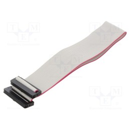 2 pcs x CONNFLY - DS1052-01-302B2MA203001 - Ribbon cable with IDC connectors, Cable ph: 1mm, 0.3m, 30x28AWG