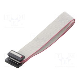 2 pcs x CONNFLY - DS1052-01-242B2MA206001 - Ribbon cable with IDC connectors, Cable ph: 1mm, 0.6m, 24x28AWG