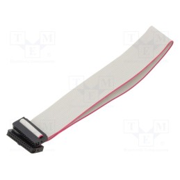 2 pcs x CONNFLY - DS1052-01-242B2MA203001 - Ribbon cable with IDC connectors, Cable ph: 1mm, 0.3m, 24x28AWG
