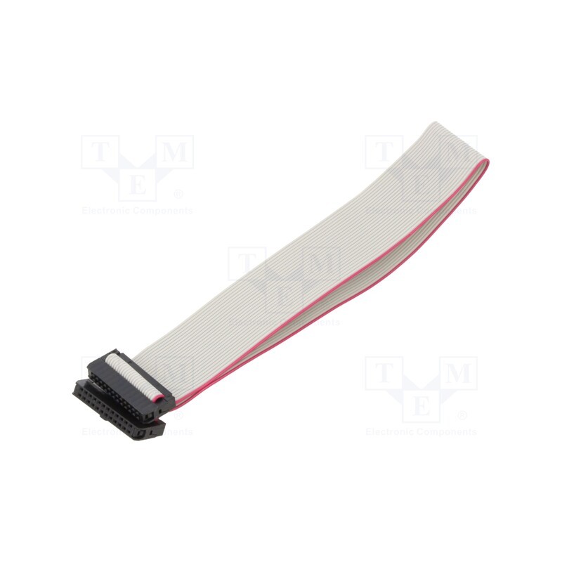 2 pcs x CONNFLY - DS1052-01-242B2MA203001 - Ribbon cable with IDC connectors, Cable ph: 1mm, 0.3m, 24x28AWG