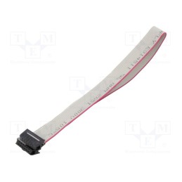 2 pcs x CONNFLY - DS1052-01-122B2NA203001 - Ribbon cable with IDC connectors, Cable ph: 1mm, 0.3m, 12x28AWG