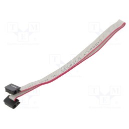 2 pcs x CONNFLY - DS1052-01-082B2NA206001 - Ribbon cable with IDC connectors, Cable ph: 1mm, 0.6m, 8x28AWG