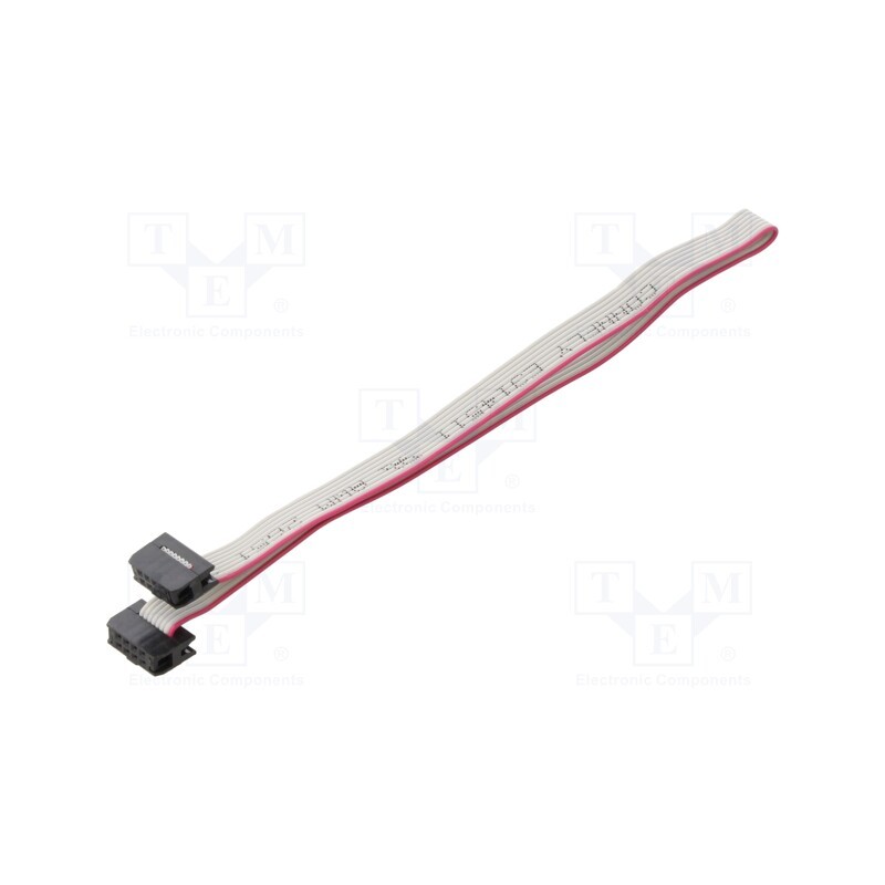 2 pcs x CONNFLY - DS1052-01-082B2NA203001 - Ribbon cable with IDC connectors, Cable ph: 1mm, 0.3m, 8x28AWG