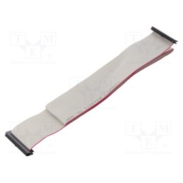 2 pcs x CONNFLY - DS1052-01-342B2NA206001 - Ribbon cable with IDC connectors, Cable ph: 1mm, 0.6m, 34x28AWG
