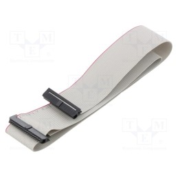 2 pcs x CONNFLY - DS1052-01-302B2NA206001 - Ribbon cable with IDC connectors, Cable ph: 1mm, 0.6m, 30x28AWG