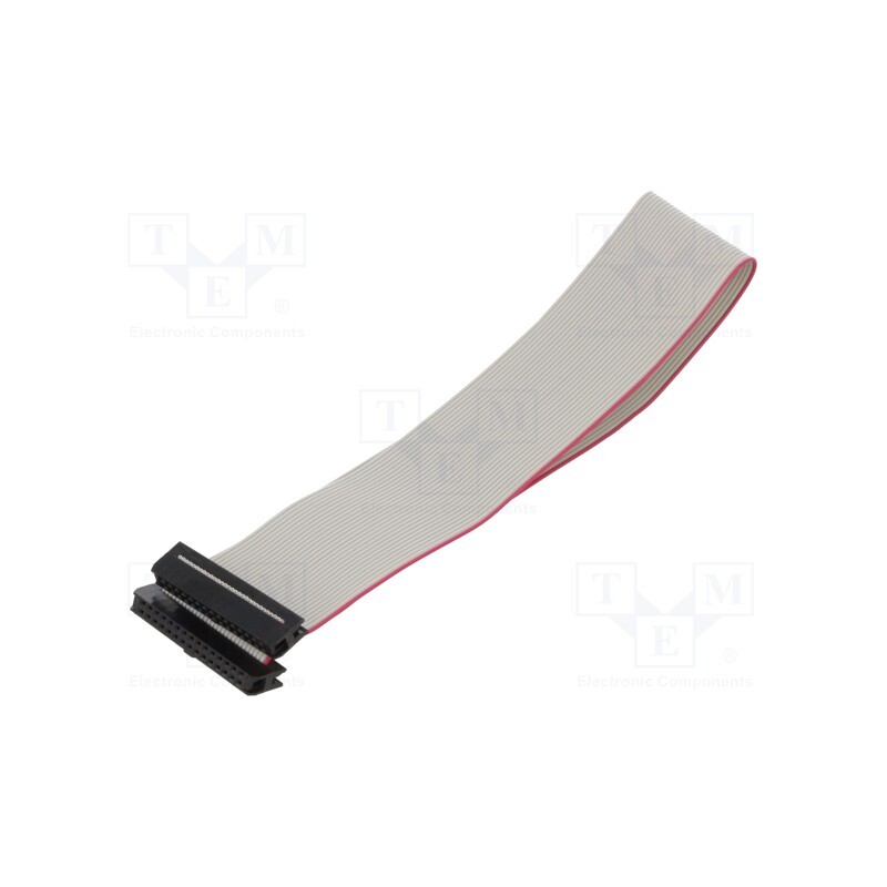 2 pcs x CONNFLY - DS1052-01-302B2NA203001 - Ribbon cable with IDC connectors, Cable ph: 1mm, 0.3m, 30x28AWG