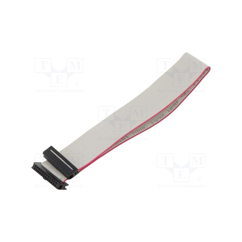 2 pcs x CONNFLY - DS1052-01-242B2NA203001 - Ribbon cable with IDC connectors, Cable ph: 1mm, 0.3m, 24x28AWG