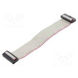 2 pcs x CONNFLY - DS1052-01-242B2MA201501 - Ribbon cable with IDC connectors, Cable ph: 1mm, 0.15m, 24x28AWG