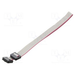 2 pcs x CONNFLY - DS1052-01-102B2MA203001 - Ribbon cable with IDC connectors, Cable ph: 1mm, 0.3m, 10x28AWG