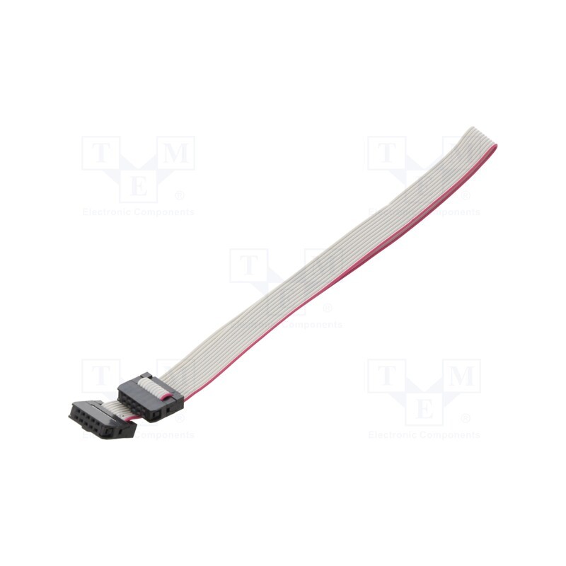 2 pcs x CONNFLY - DS1052-01-102B2MA203001 - Ribbon cable with IDC connectors, Cable ph: 1mm, 0.3m, 10x28AWG