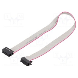 2 pcs x CONNFLY - DS1052-102B2NA203001 - Ribbon cable with IDC connectors, Cable ph: 1.27mm, 0.3m