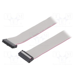2 pcs x CONNFLY - DS1052-242B2MA206001 - Ribbon cable with IDC connectors, Cable ph: 1.27mm, 0.6m