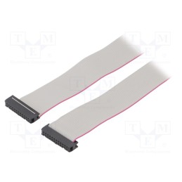 2 pcs x CONNFLY - DS1052-242B2NA206001 - Ribbon cable with IDC connectors, Cable ph: 1.27mm, 0.6m