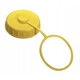 Cap for the comet water container