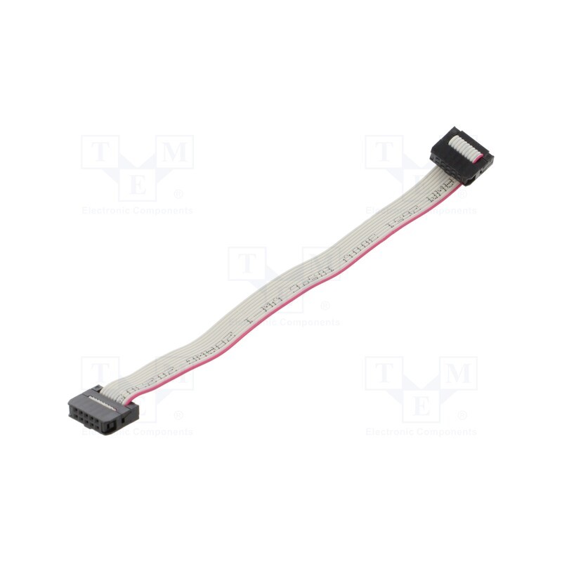 2 pcs x CONNFLY - DS1052-01-102B2MA201501 - Ribbon cable with IDC connectors, Cable ph: 1mm, 0.15m, 10x28AWG