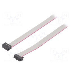 2 pcs x CONNFLY - DS1052-102B2NA206001 - Ribbon cable with IDC connectors, Cable ph: 1.27mm, 0.6m