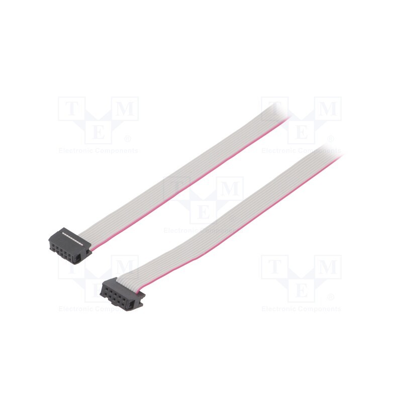 2 pcs x CONNFLY - DS1052-102B2NA206001 - Ribbon cable with IDC connectors, Cable ph: 1.27mm, 0.6m