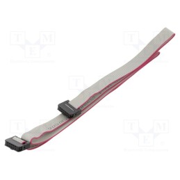2 pcs x CONNFLY - DS1052-01-102B2MA206001 - Ribbon cable with IDC connectors, Cable ph: 1mm, 0.6m, 10x28AWG