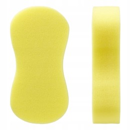 Gecko caravan washing sponge