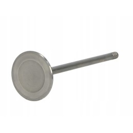 Paradowski pope027 intake valve
