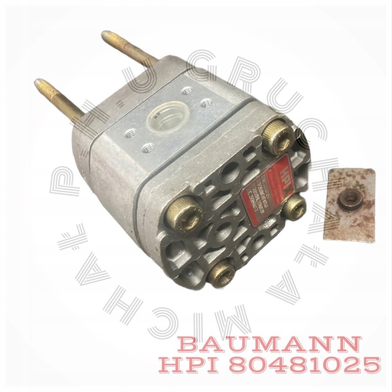Baumann hydraulic gear pump hpi 80481025