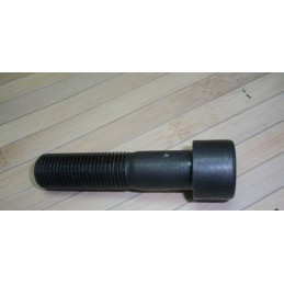 Bolt screw m20 x 2 0 x 84 x 55 hollow 10 9