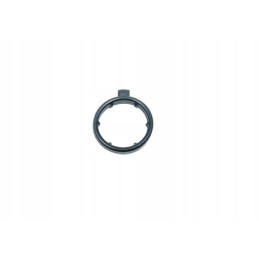 Oring krocca e0053679
