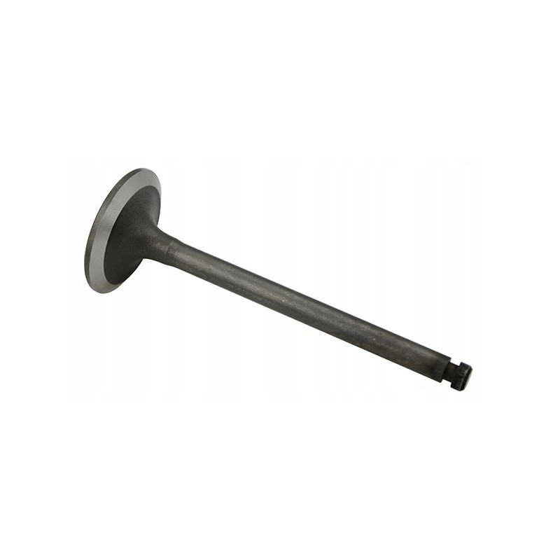 Nissan intake valve