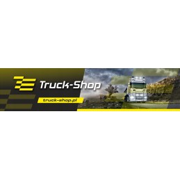 Internal door lock for Iveco